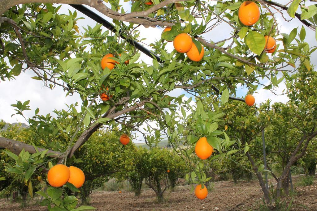 Tenuta Lanza Il Mulino Acquaviva Platani 외부 사진