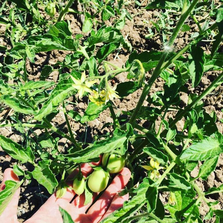 Tenuta Lanza Il Mulino Acquaviva Platani 외부 사진